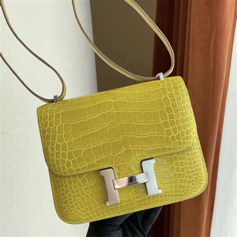 hermes constance mini 19 price|Hermes constance crocodile.